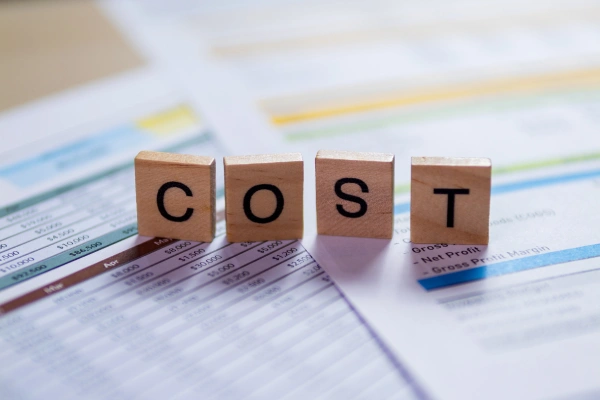 Budget Planning & Cost Forecasting